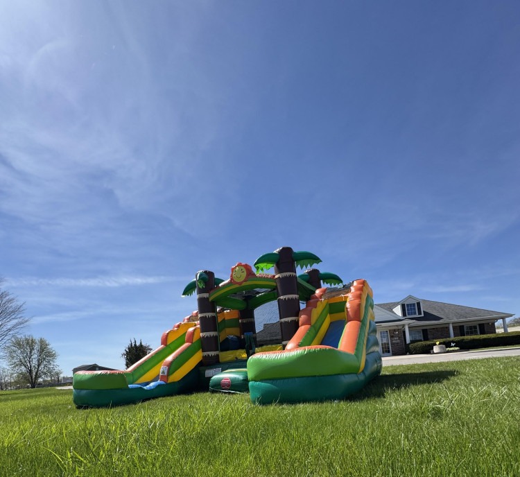 Double Tropical inflatable slides