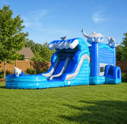 XL Dolphin Dual Lane Combo (wet/dry)